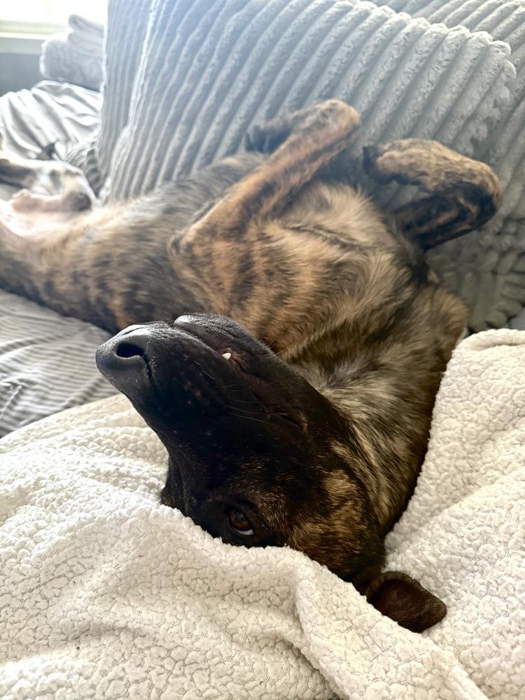 Kyrre  Located In thumbnail 2