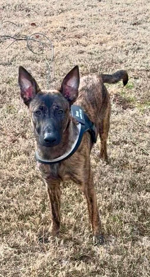 Kyrre  Located In thumbnail 3