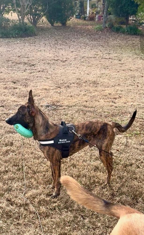 Kyrre  Located In thumbnail 4