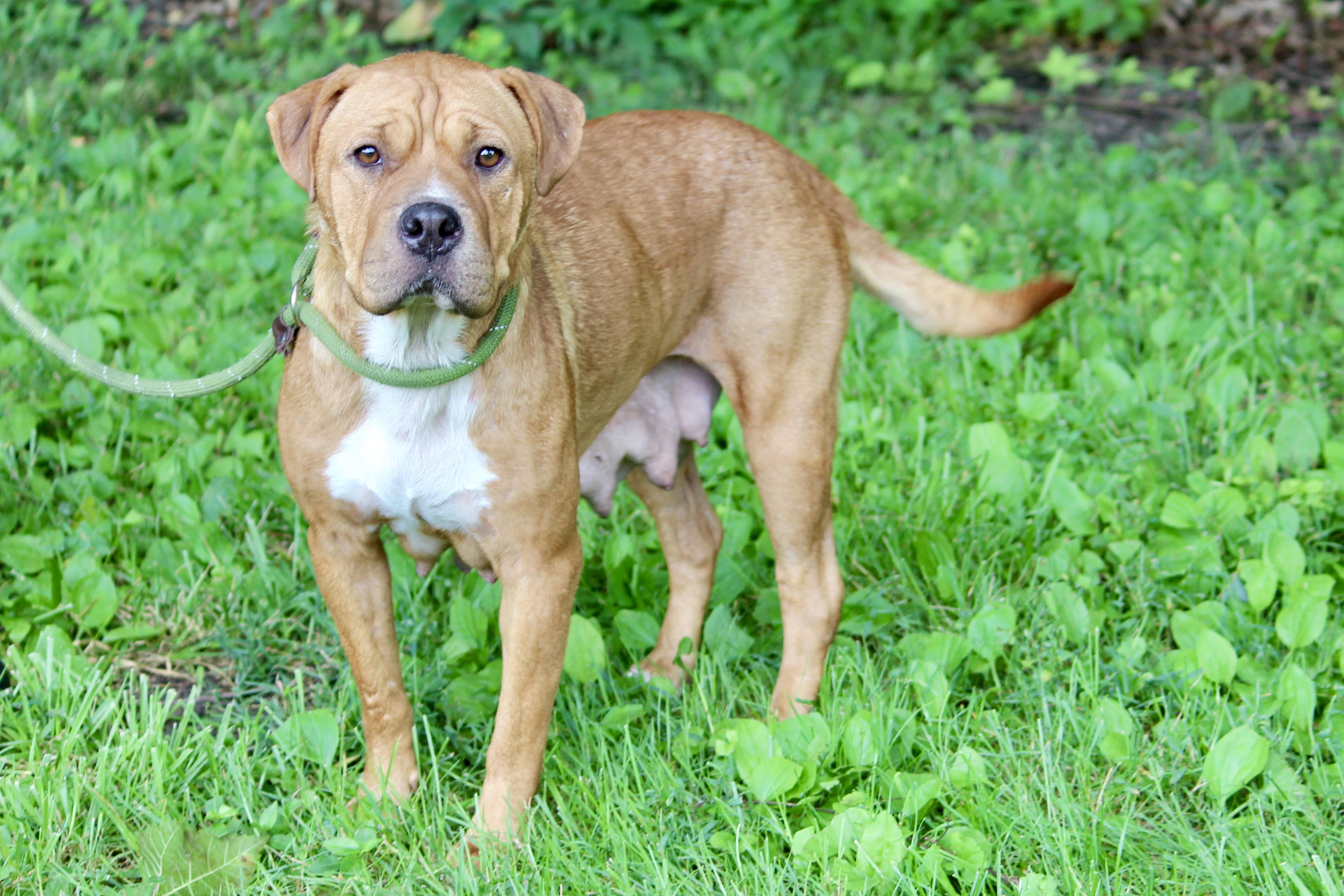 DEBORAH — thumbnail 2