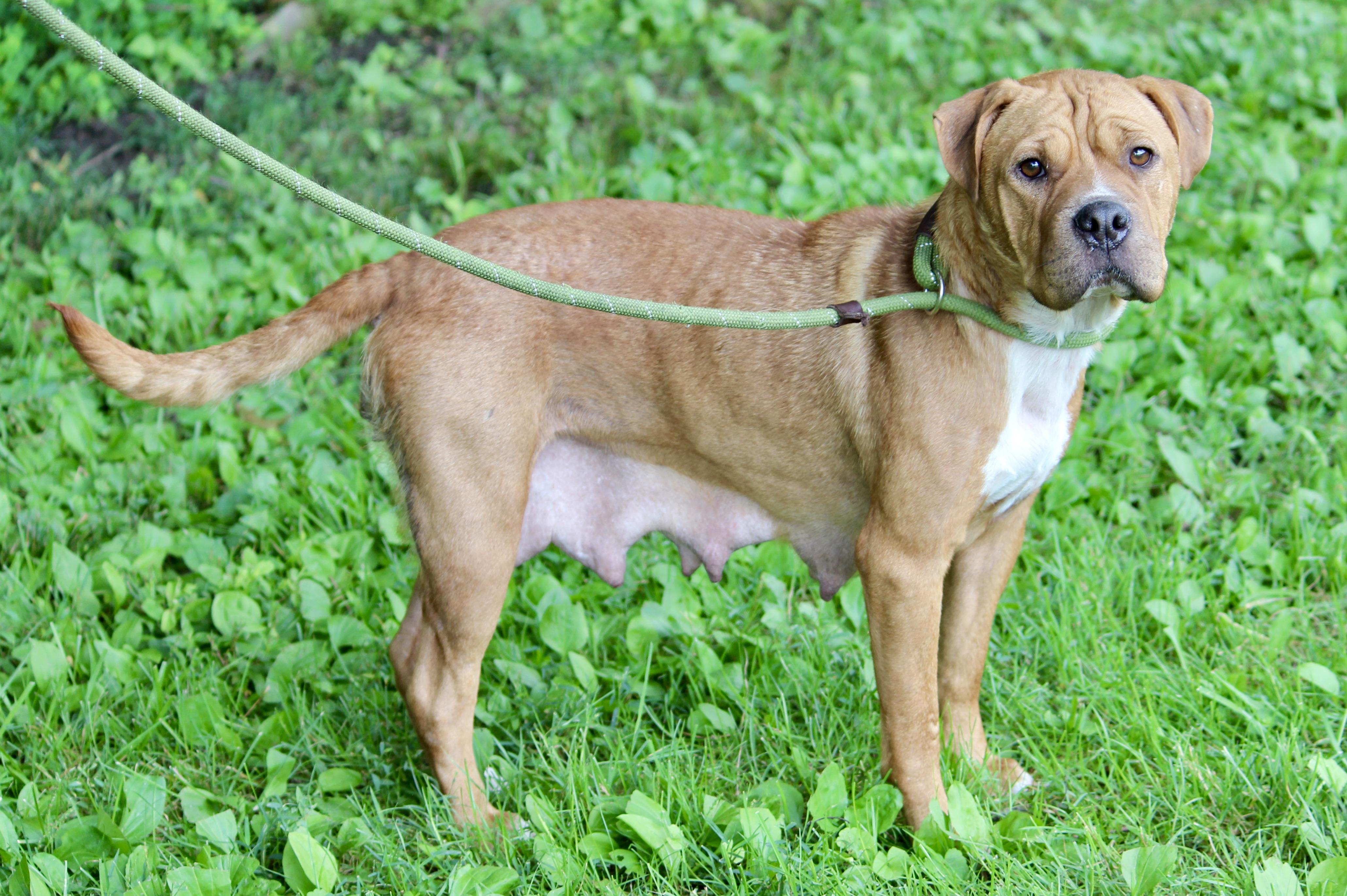 DEBORAH — thumbnail 3