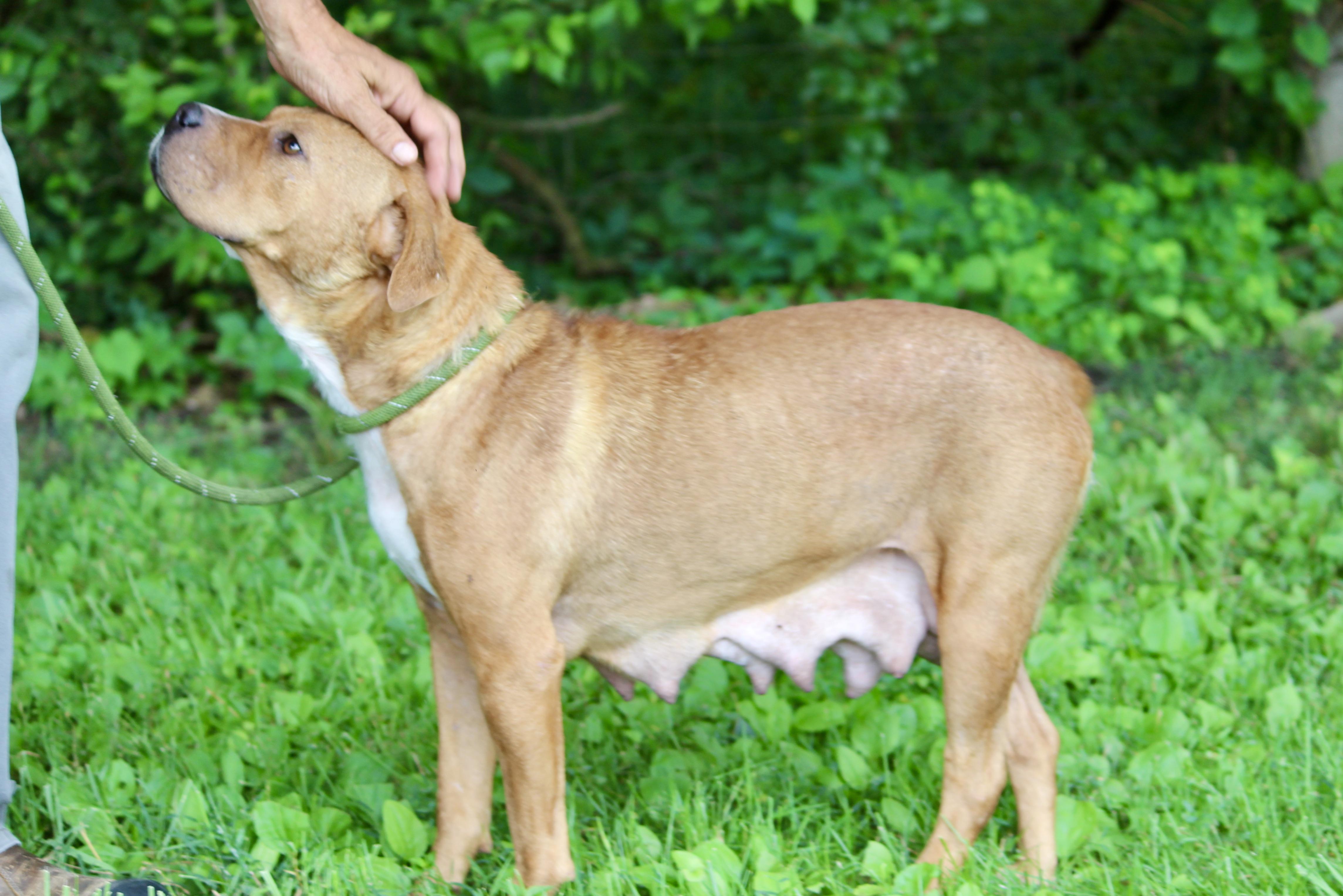 DEBORAH — thumbnail 4