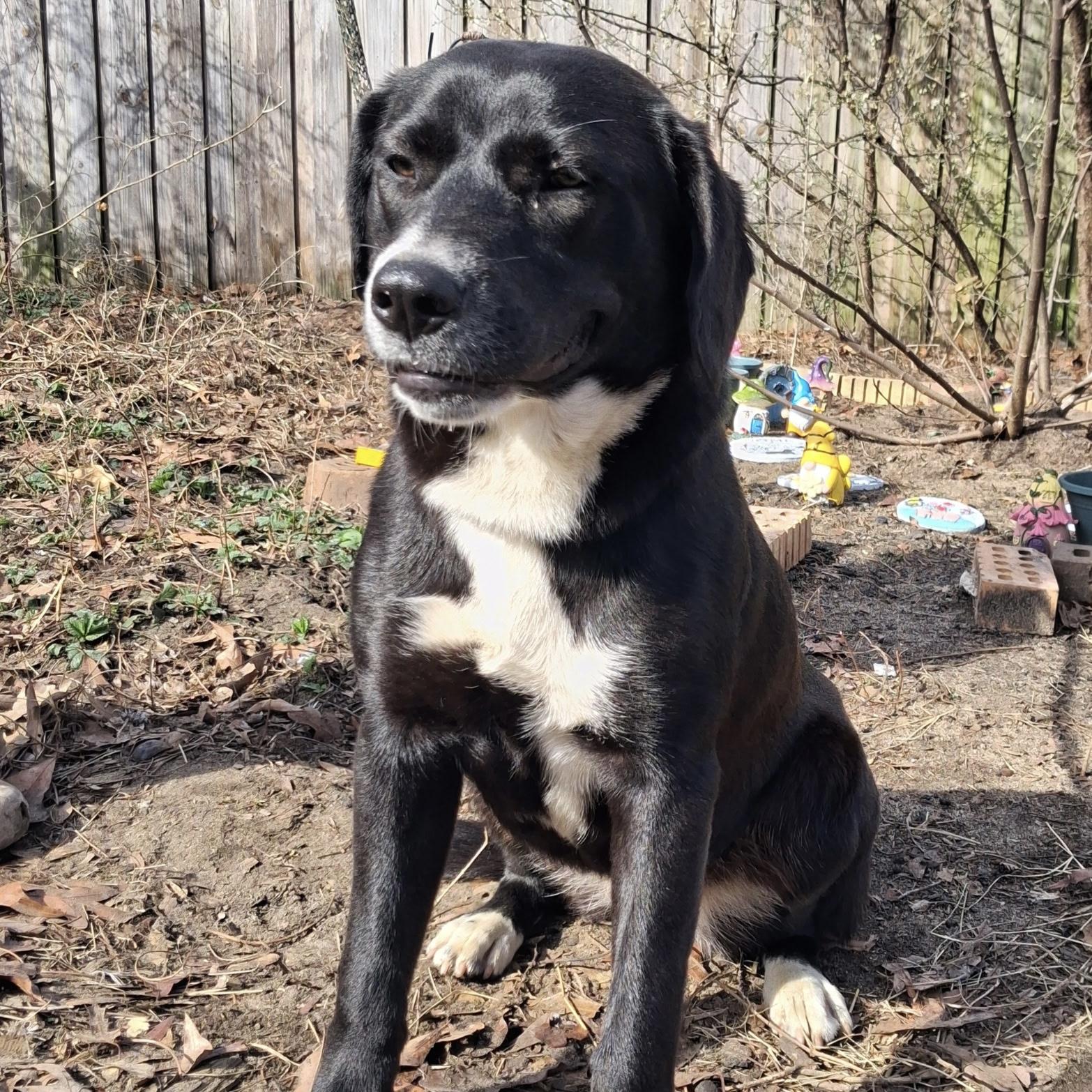 Lucky Charms — thumbnail 2