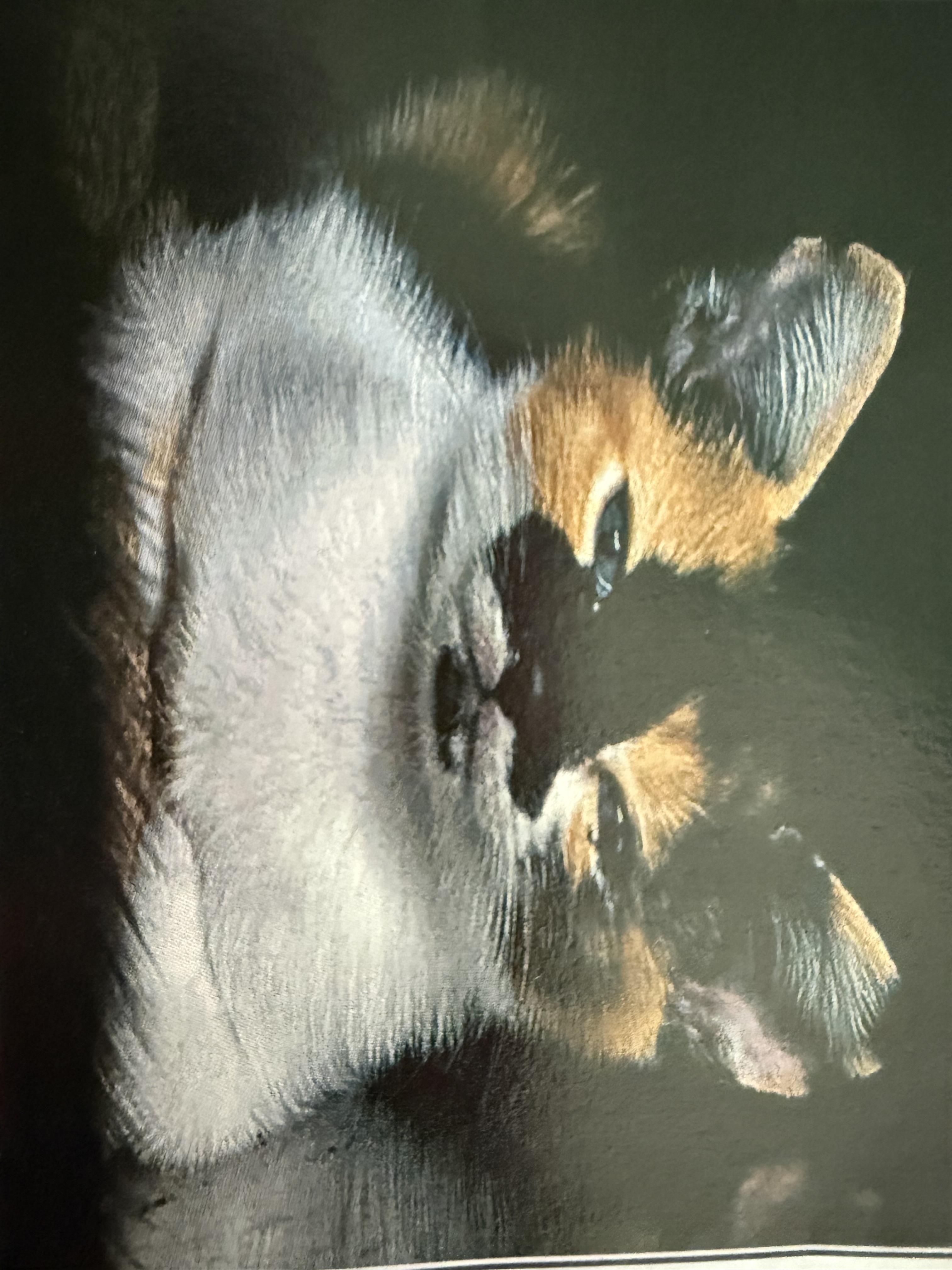 Brinley, Young Female unknown