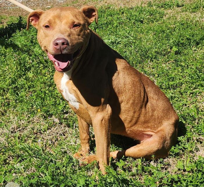 260220 Reba — thumbnail 2