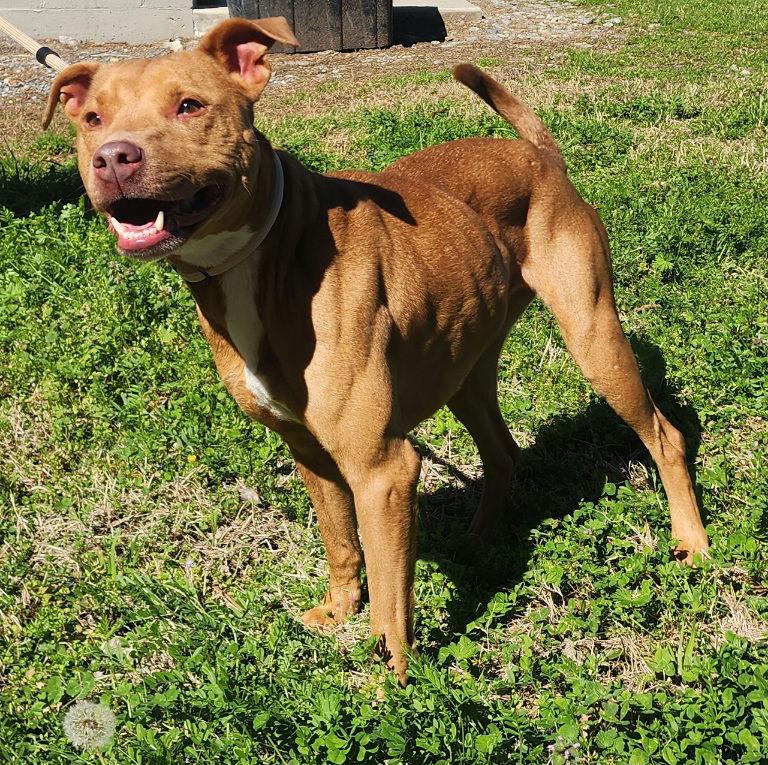 260220 Reba — thumbnail 3