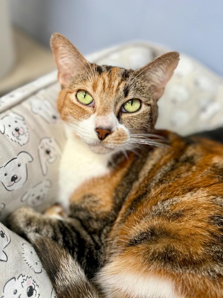 Wilma — thumbnail 2