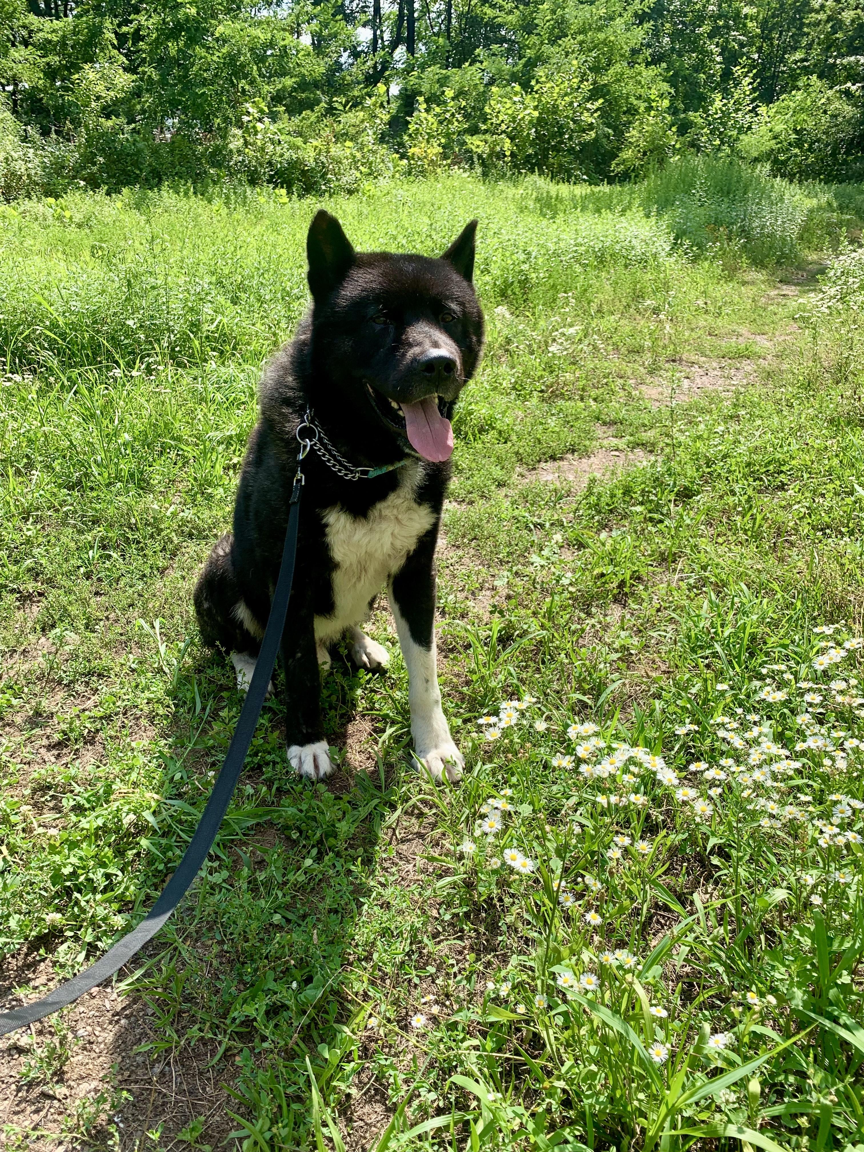 Teddy  private owner 4