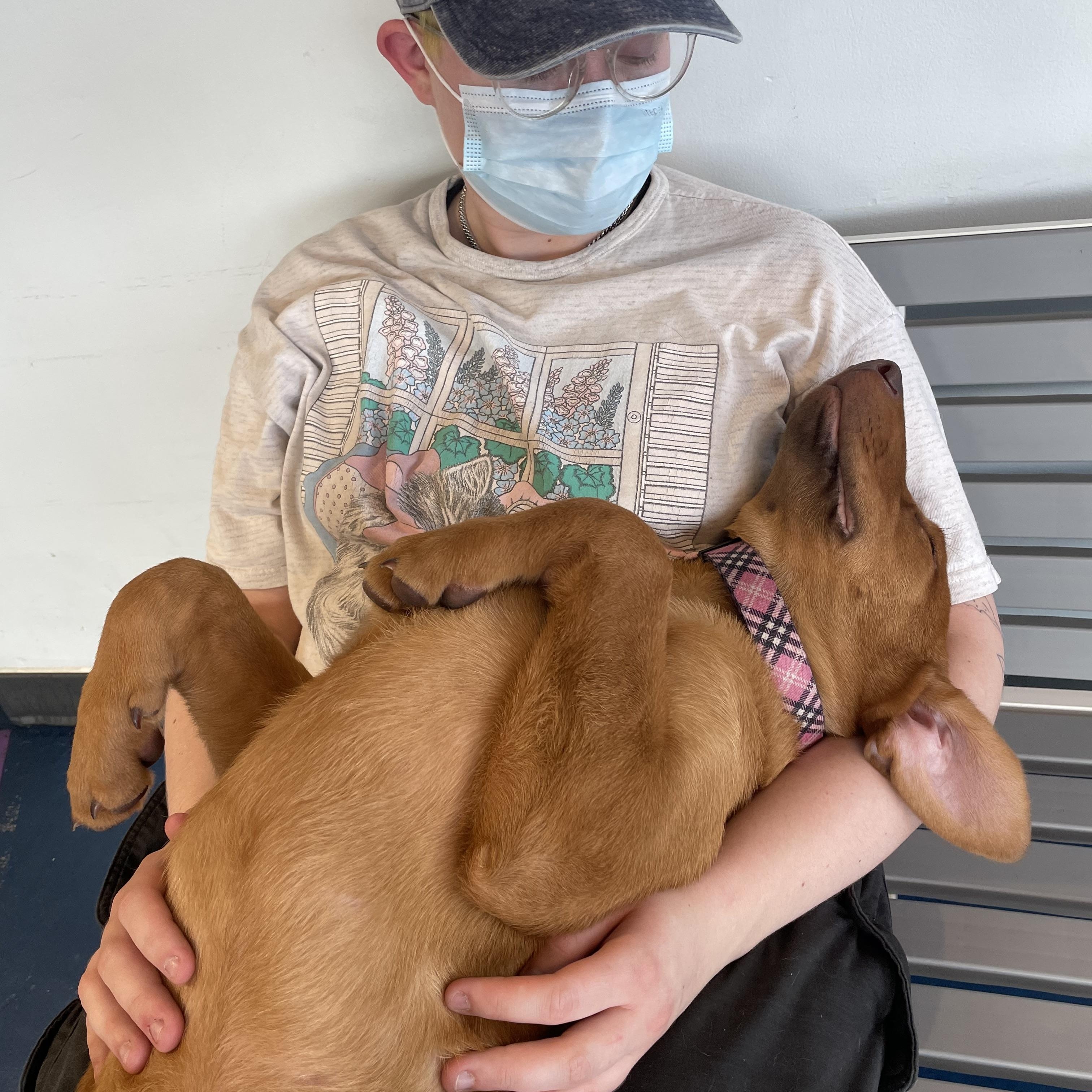 Worm, a ADOPTABLE mixed breed in Seattle, WA image 3/4