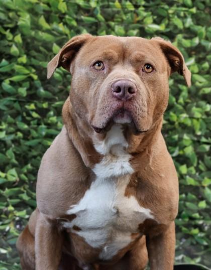 Rubble — thumbnail 2