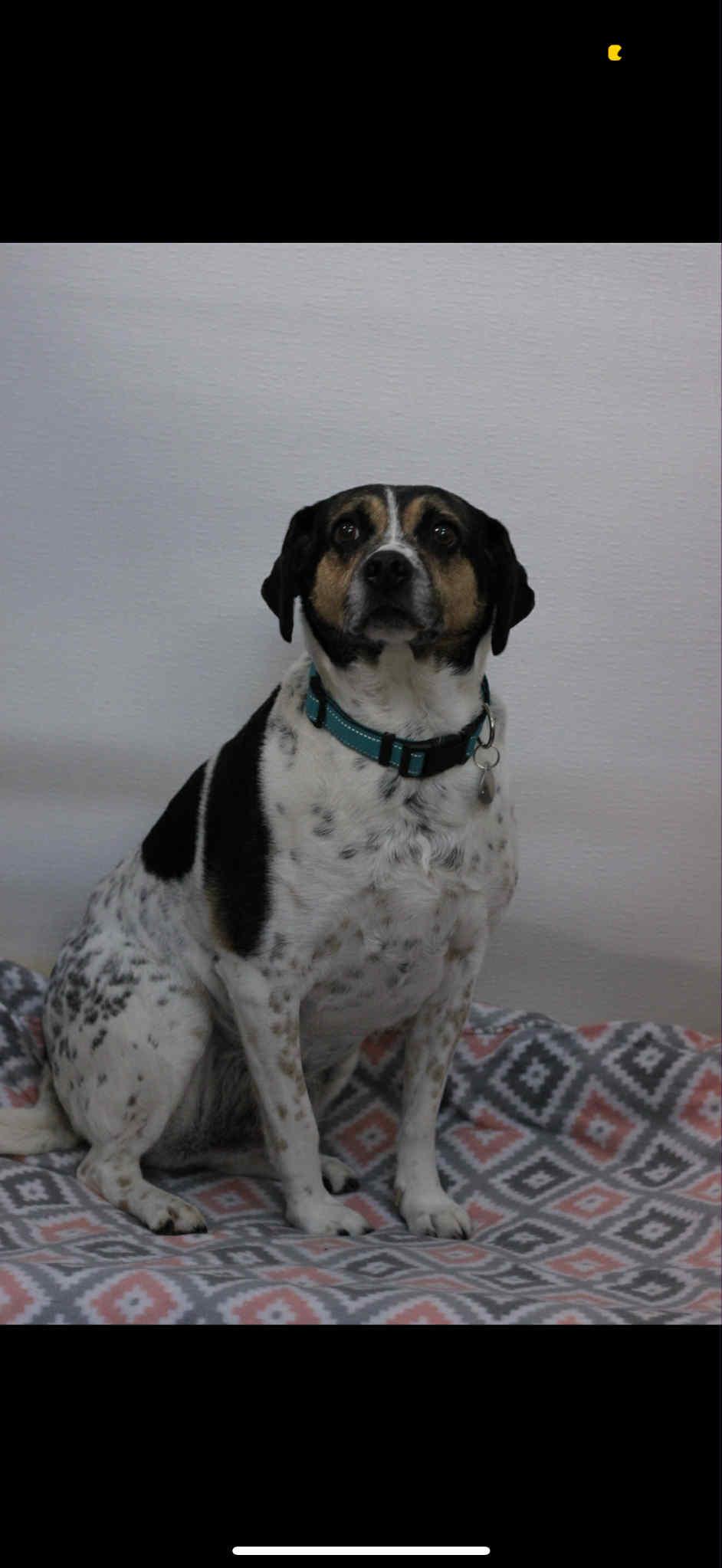 Roscoe - In Foster