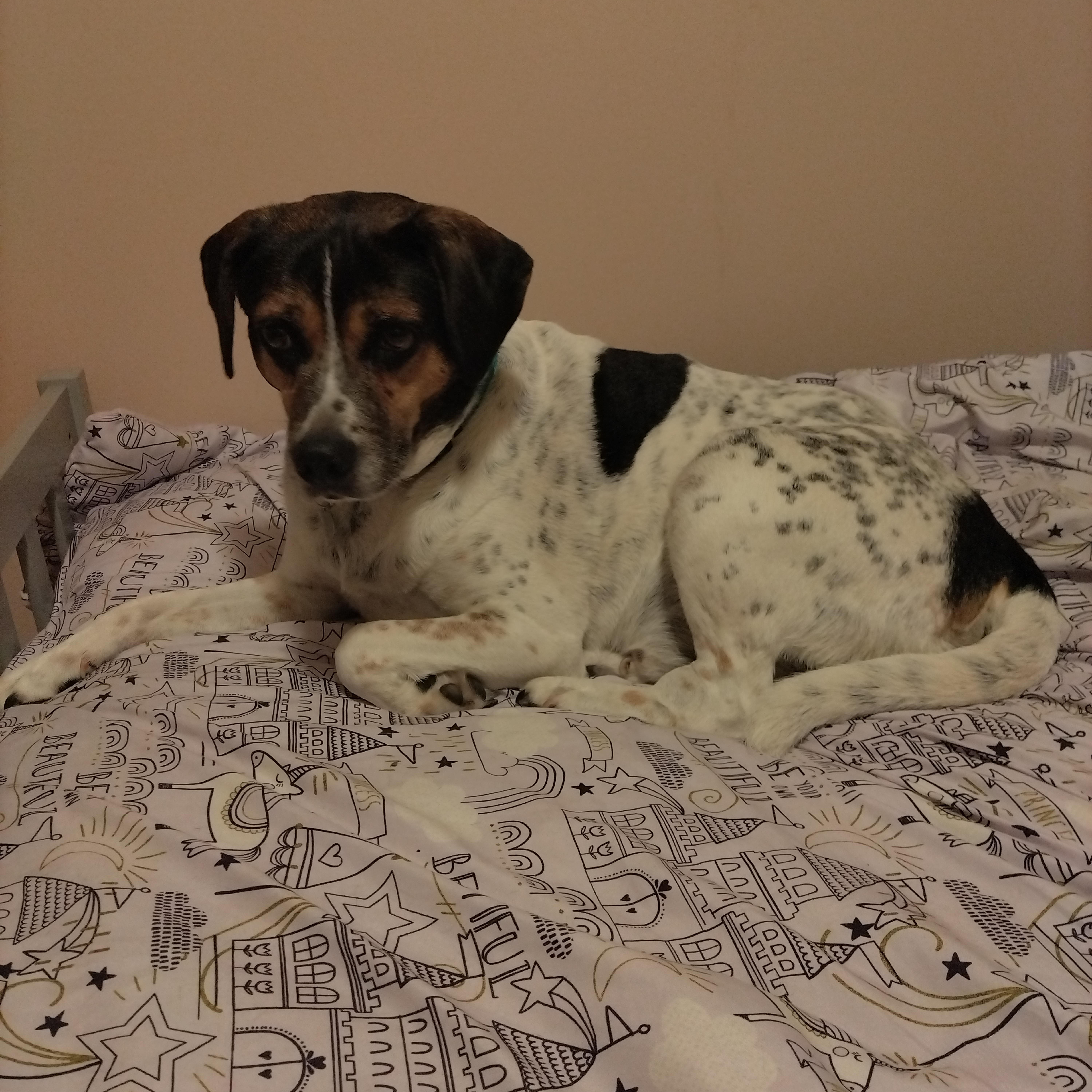 Roscoe