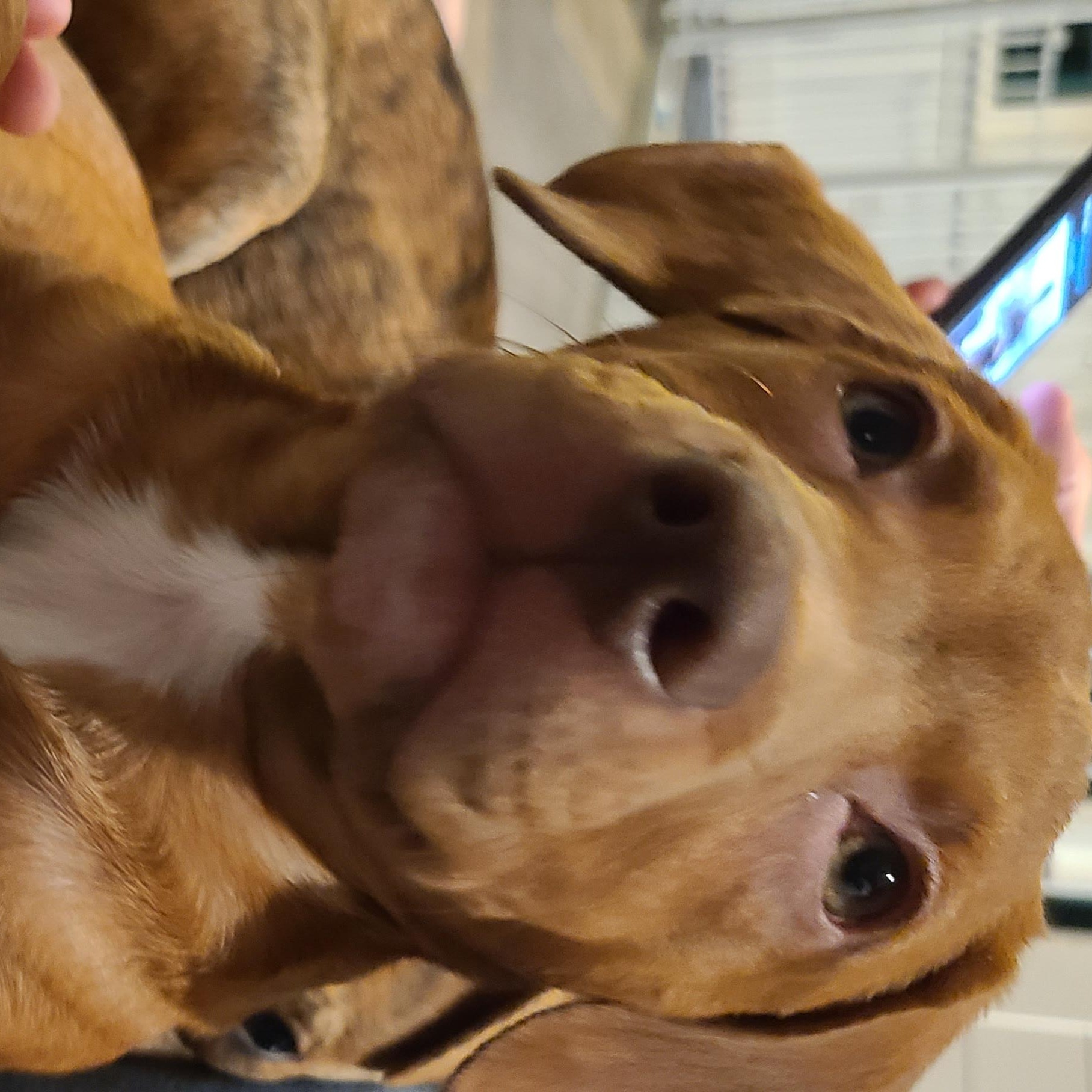 Zoey