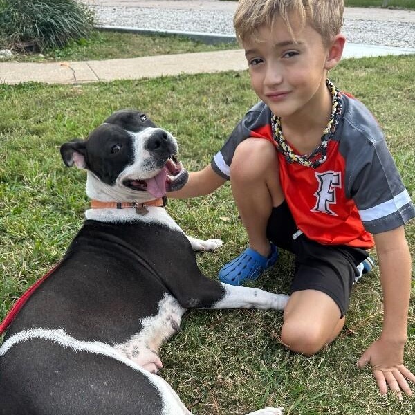 Harlen Franny Best-Friend Energy and Hocus Pocus Magic