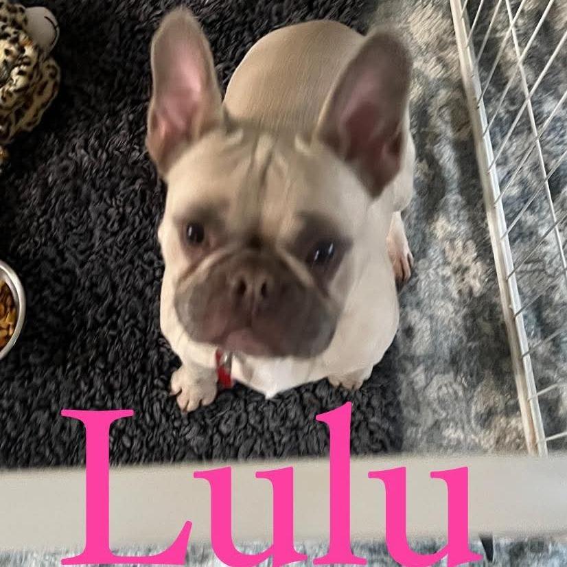 Lulu thumbnail 2