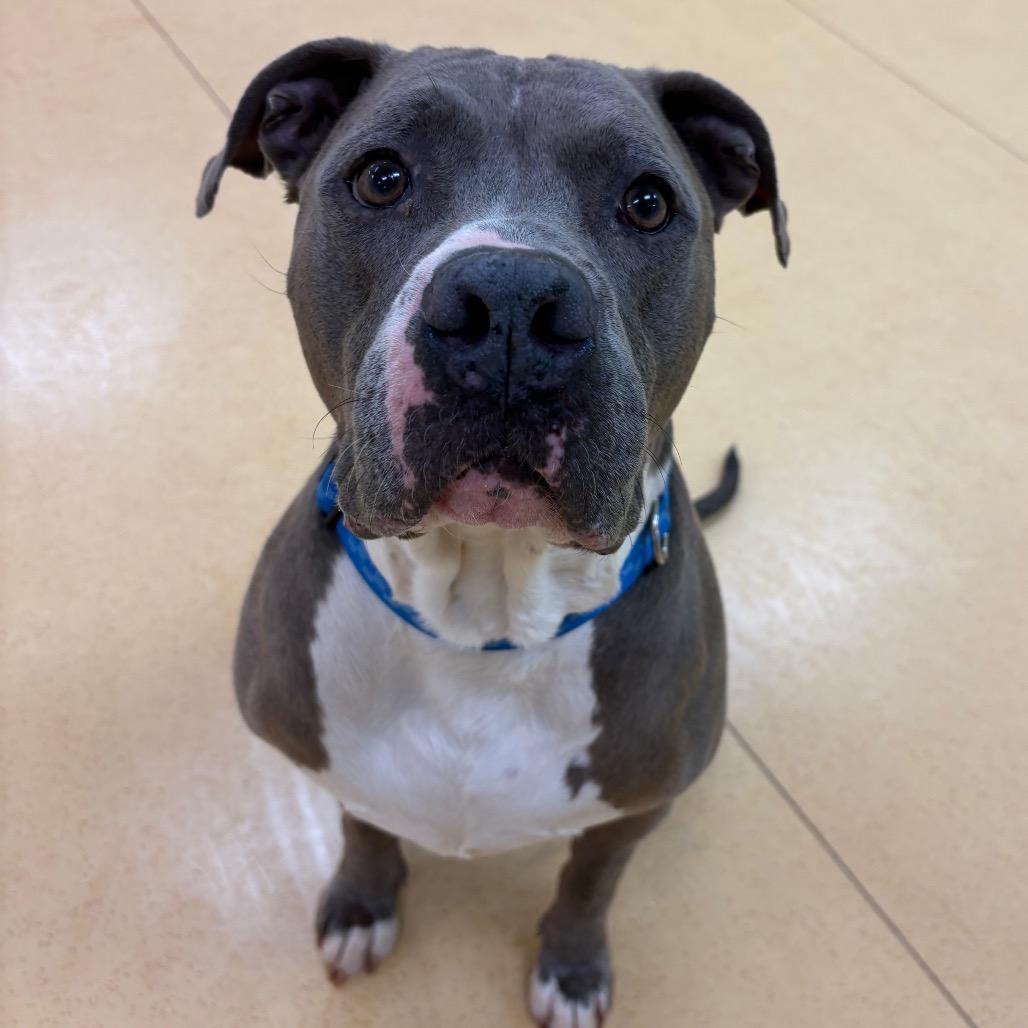 Zeus — thumbnail 2