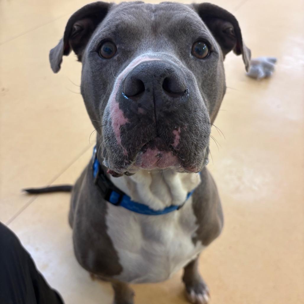 Zeus — thumbnail 3