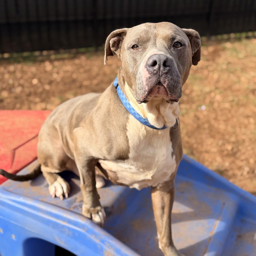 Zeus — thumbnail 4