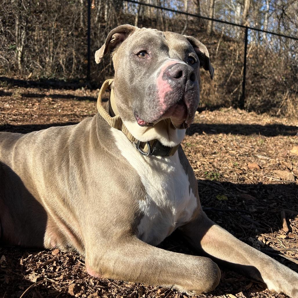 Zeus — thumbnail 5