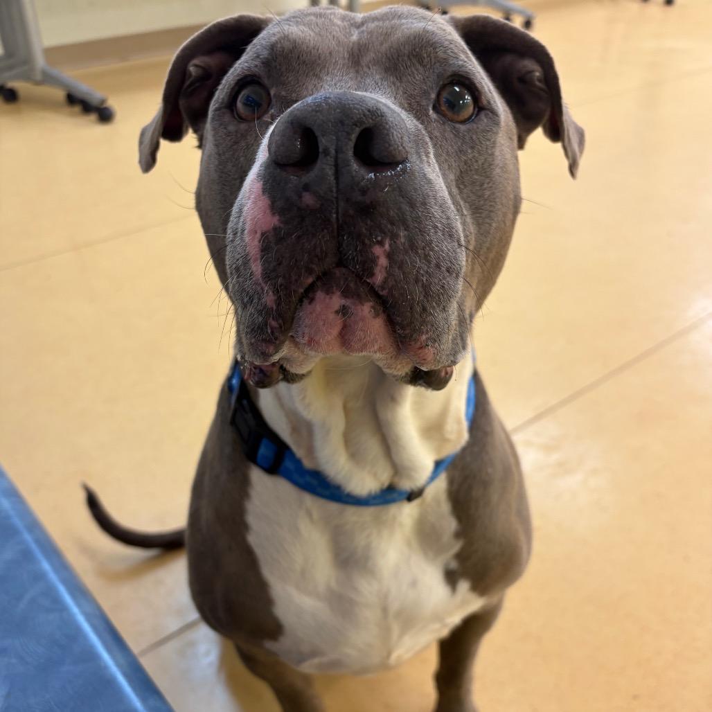 Zeus — thumbnail 6