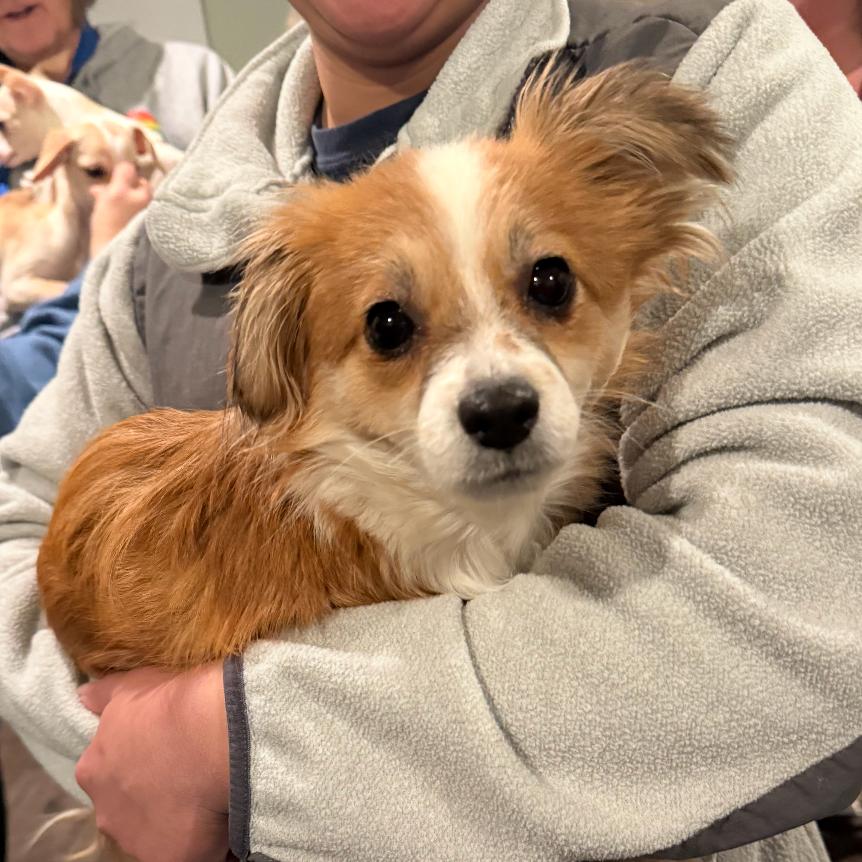 Hannah Montana thumbnail 2