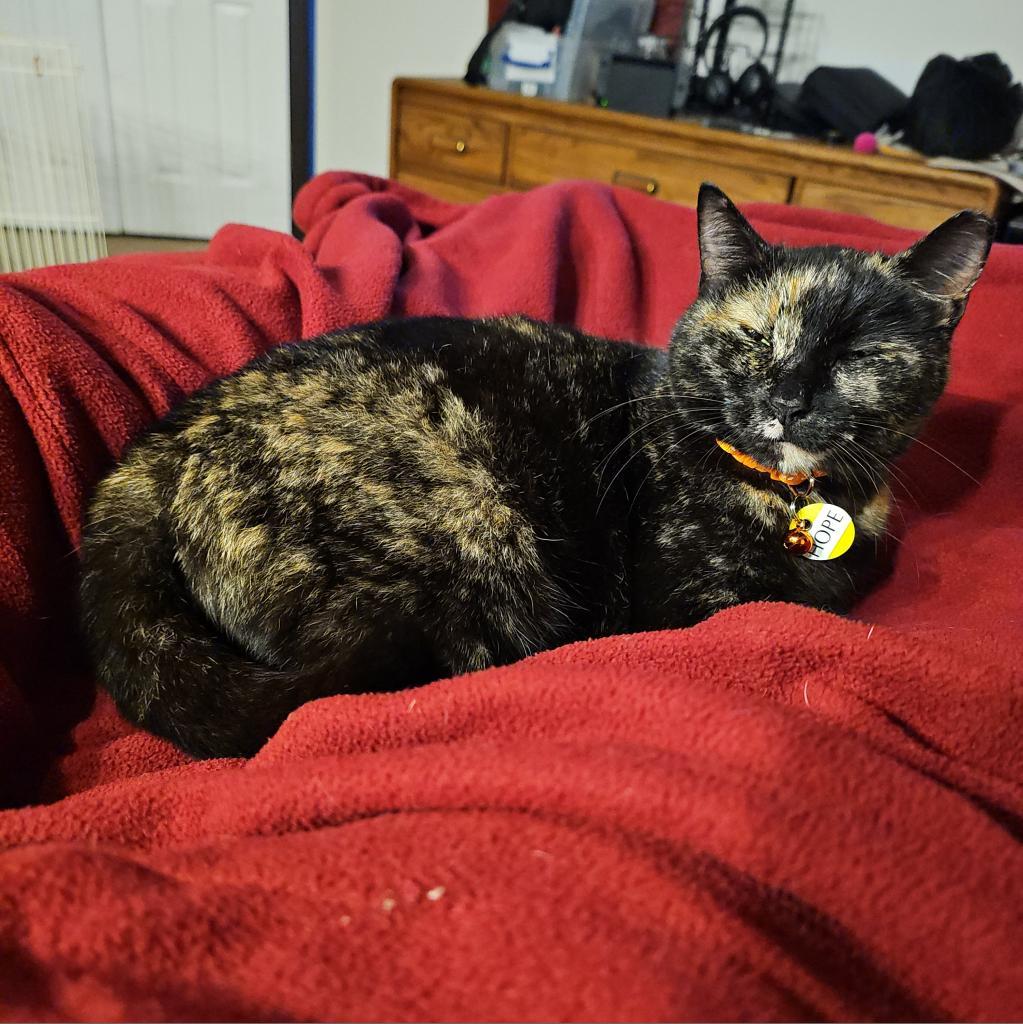 Hope — thumbnail 2