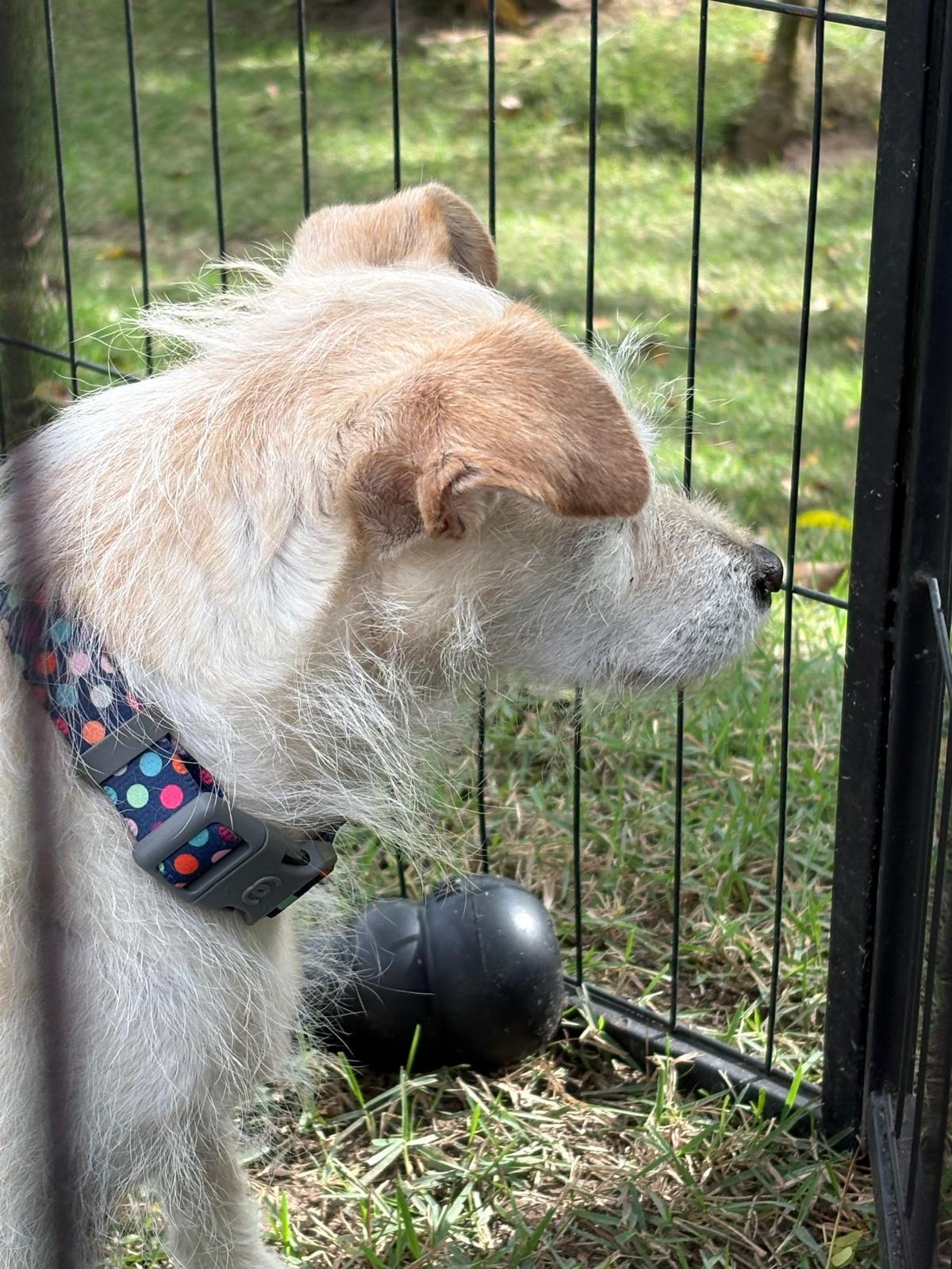 Mimi — thumbnail 2