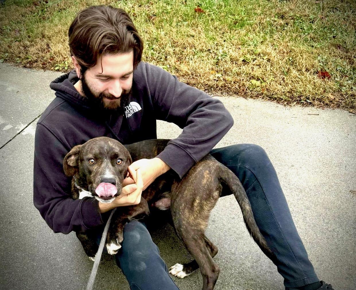 Enlarge Theo, a ADOPTABLE mixed breed in Powell, TN image 3/4