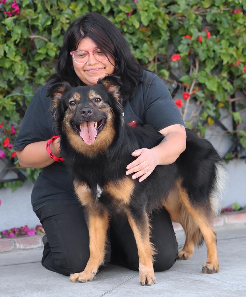 Enlarge Luna von Halloween , a Adoptable mixed breed in Los Angeles, CA image 3/6