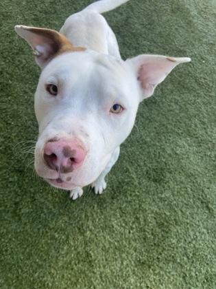 Stowe — thumbnail 2