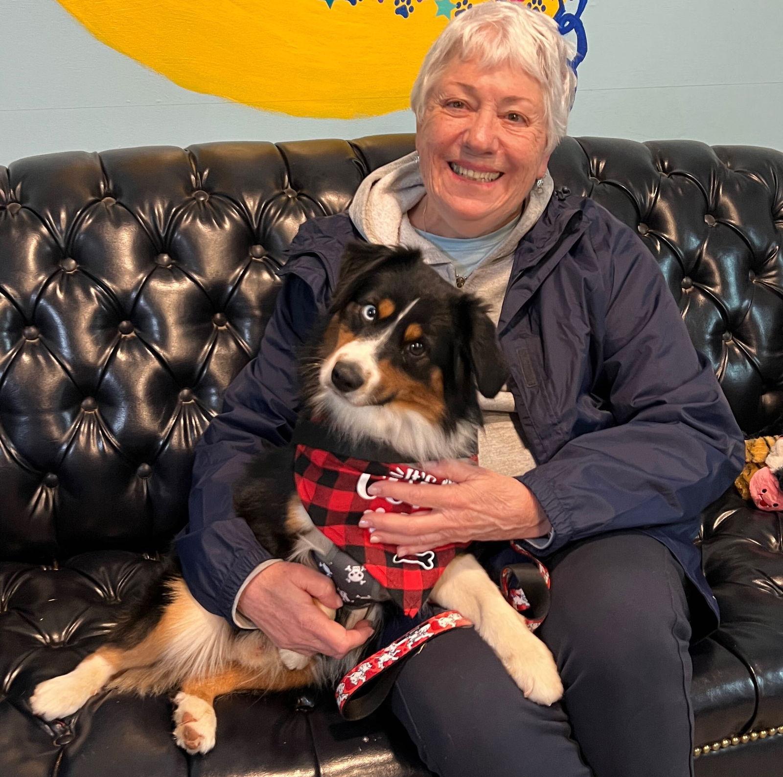 Enlarge Buster Nov 23 - returning in June 25, a Adopted Australian Shepherd in Pacolet, SC image 2/3