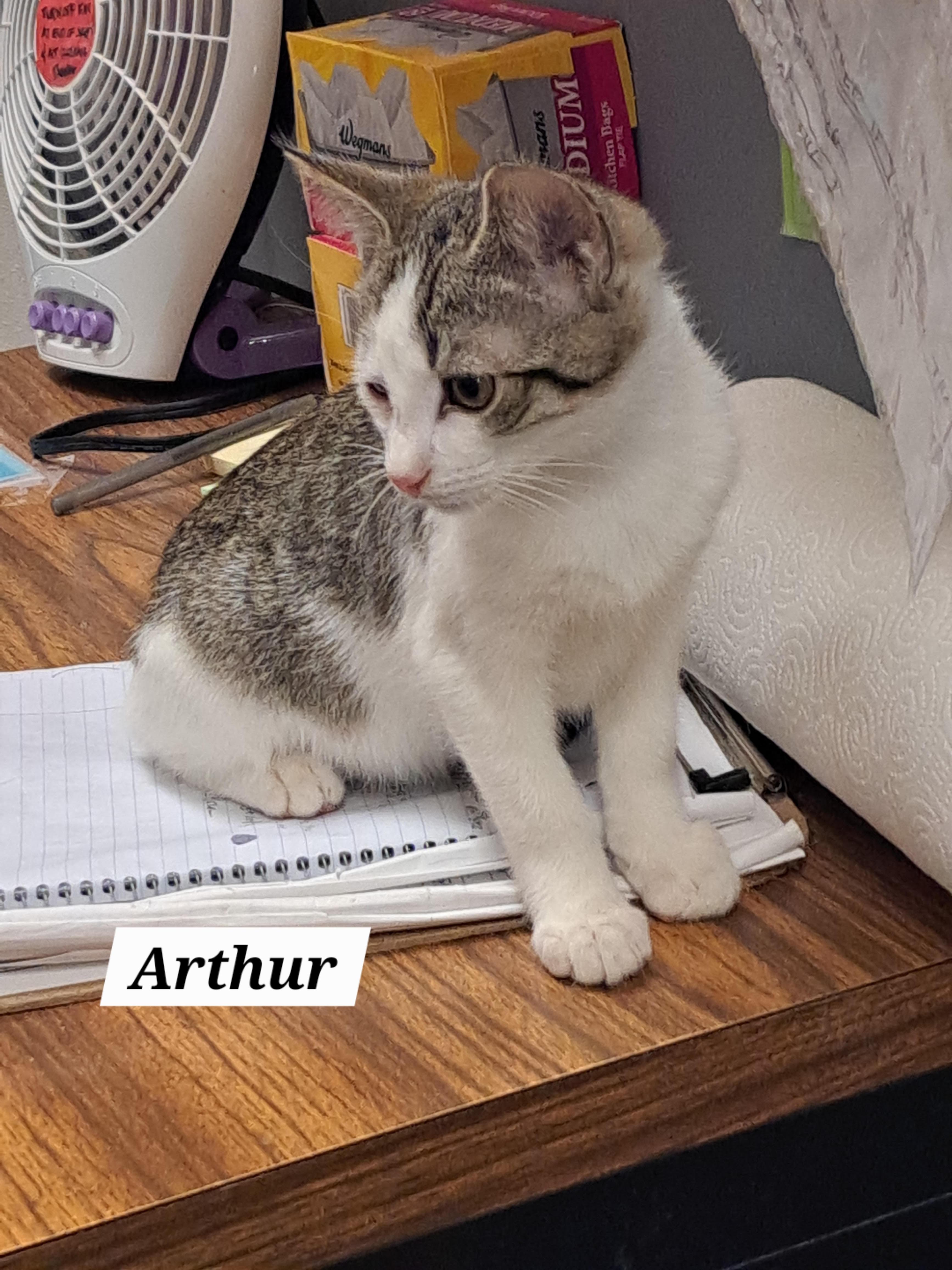 Arthur (FCID# 10/23/2025 - 1 Brandywine PS) DC