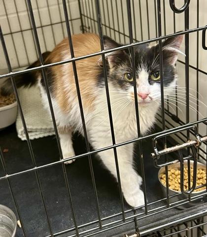 Kaley — thumbnail 3