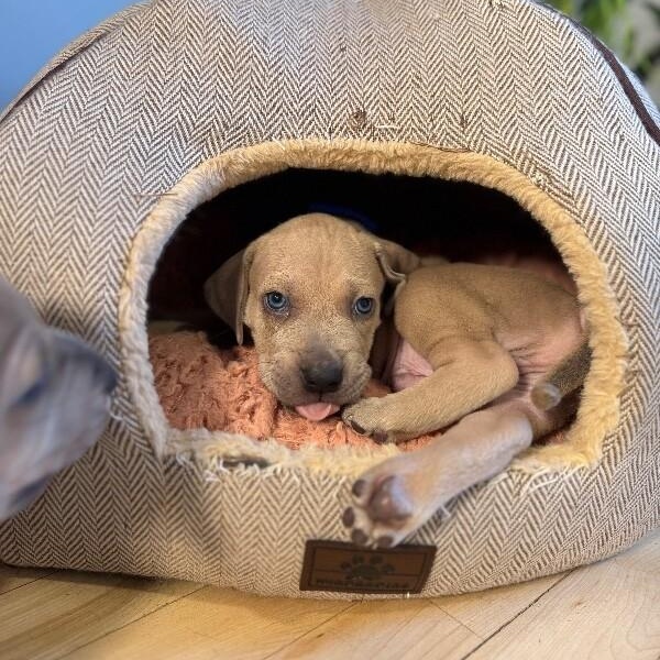 Pluto Space — thumbnail 5