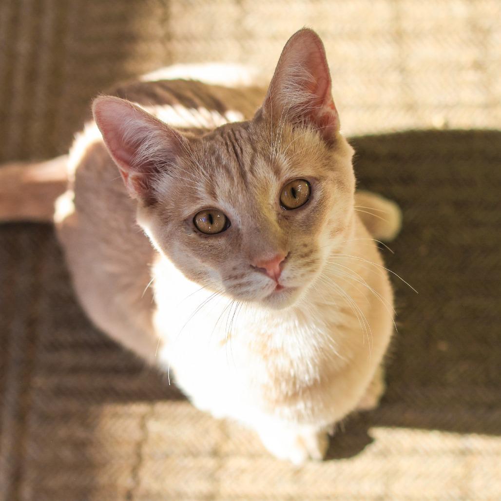 Eminem — thumbnail 3