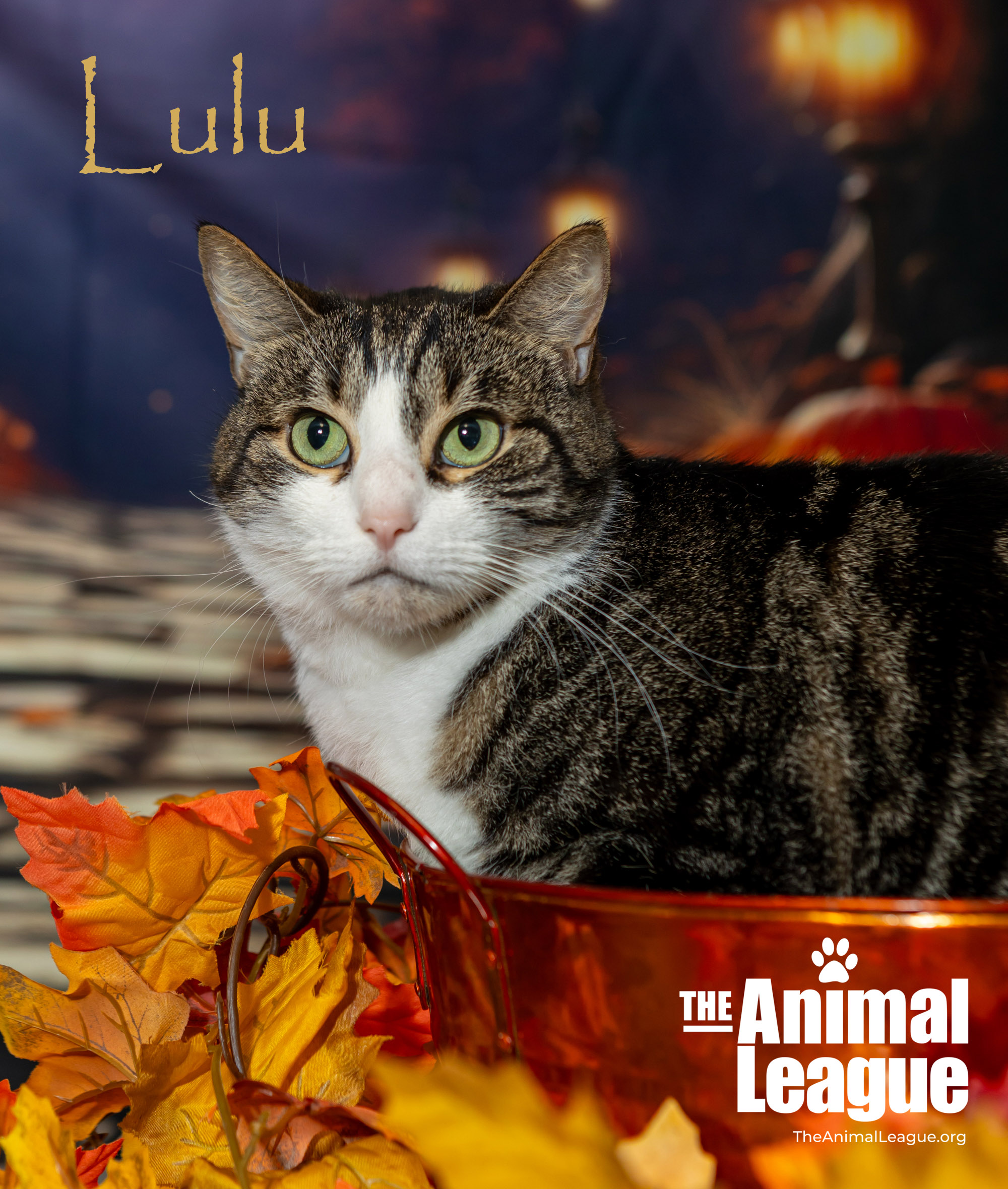 Lulu