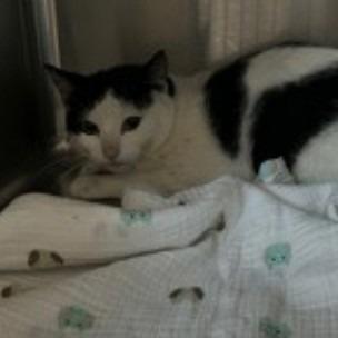 Marvel — thumbnail 2