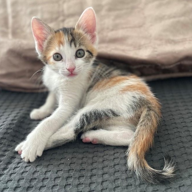 Giggly Vanourek photo 1