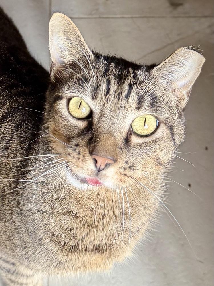 Aiden — thumbnail 2