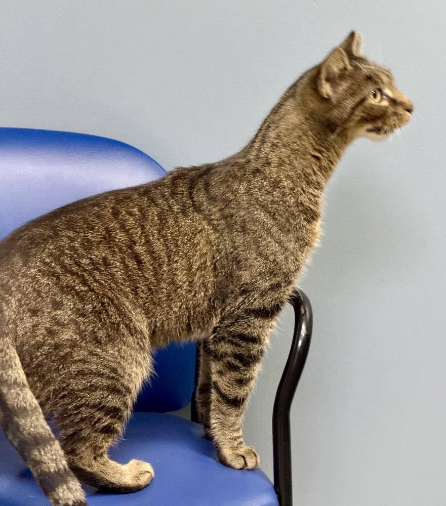 Aiden — thumbnail 3