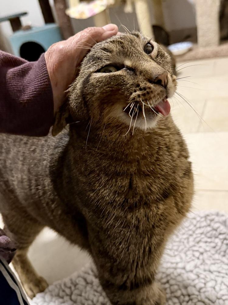 Aiden — thumbnail 5