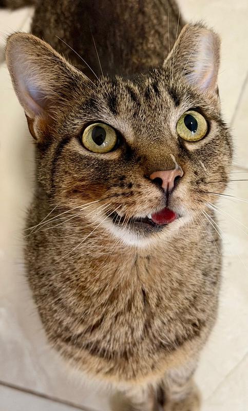 Aiden — thumbnail 6