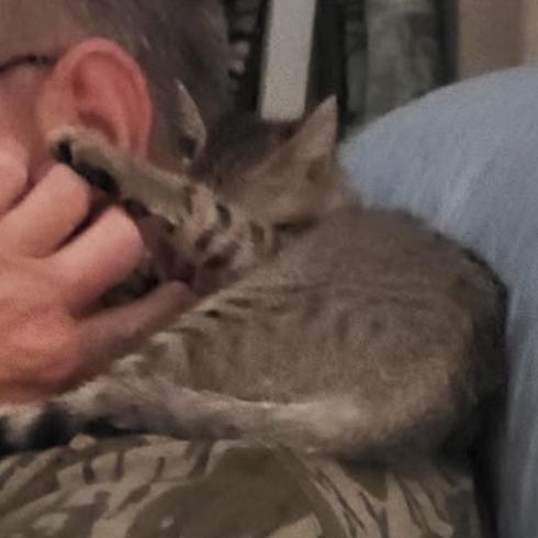 Millie — thumbnail 4