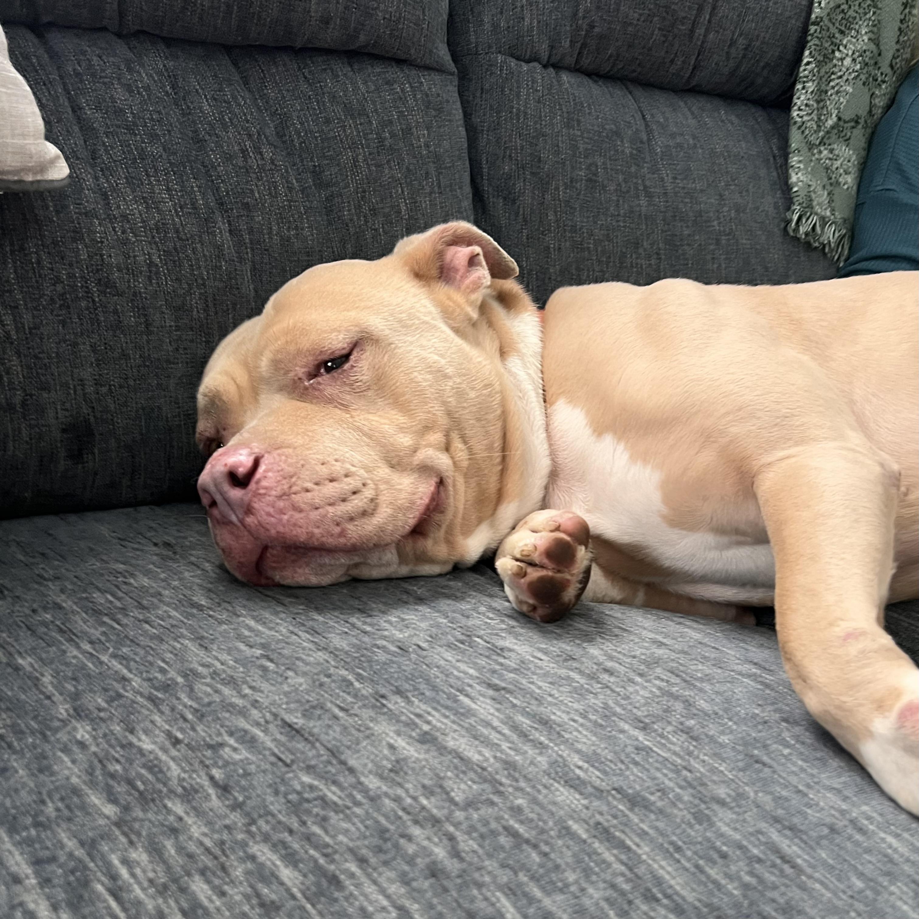 Magic Johnson — thumbnail 2