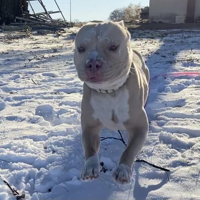 Magic Johnson — thumbnail 3