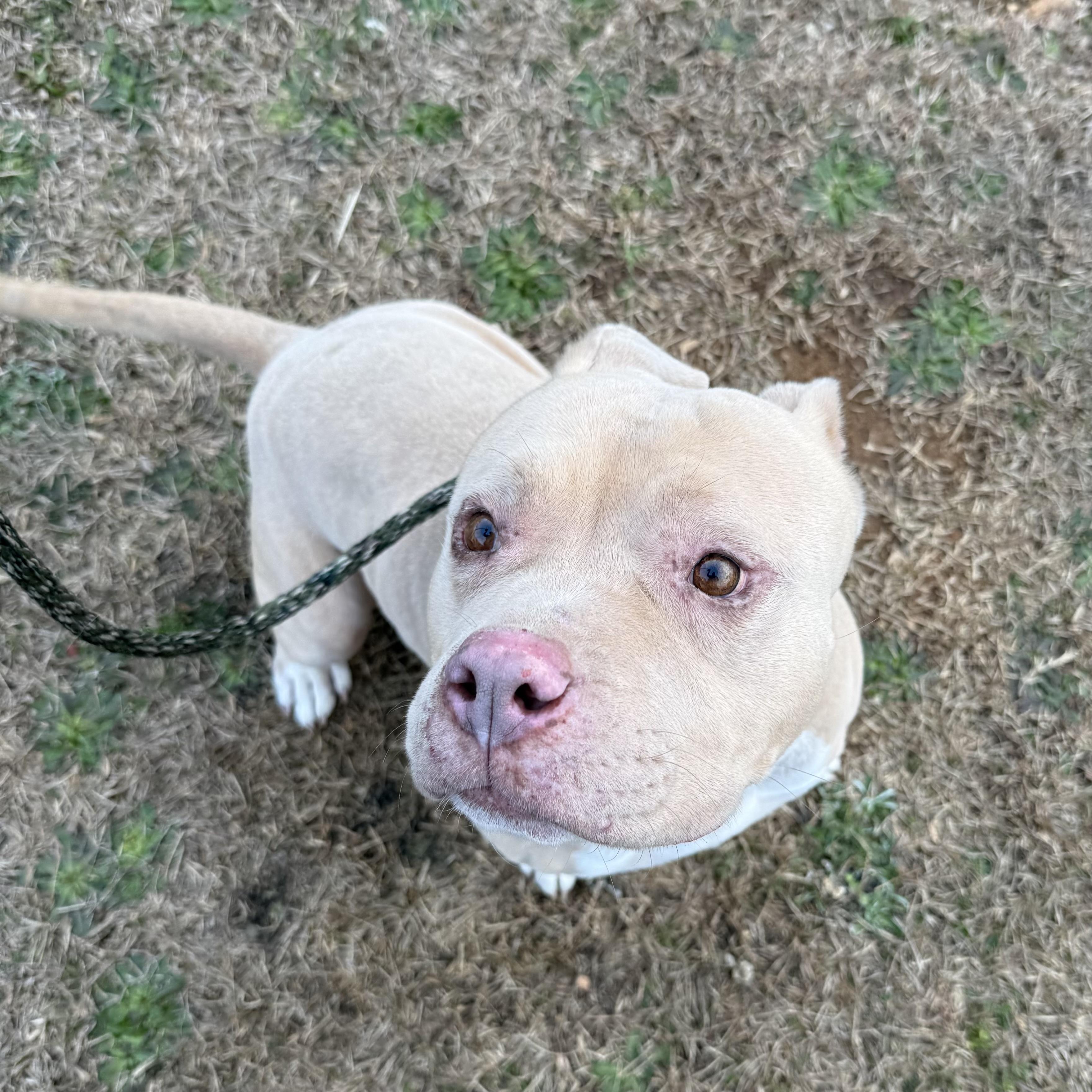 Magic Johnson — thumbnail 5