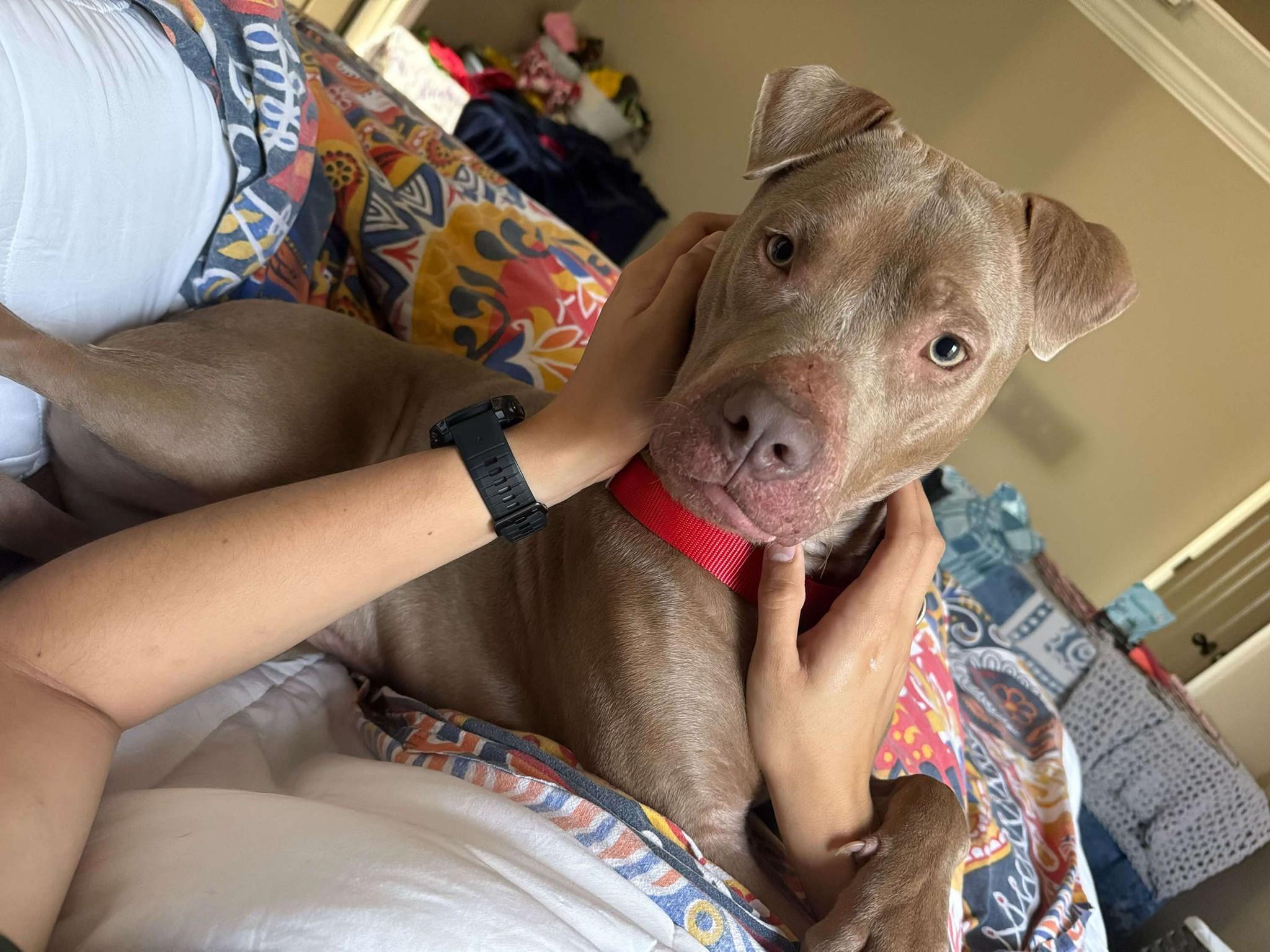 BMO (20251208-02) — thumbnail 2