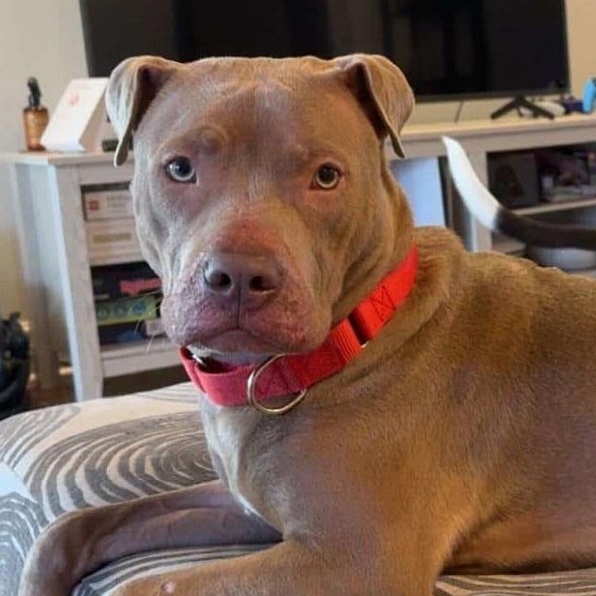 BMO (20251208-02) — thumbnail 3