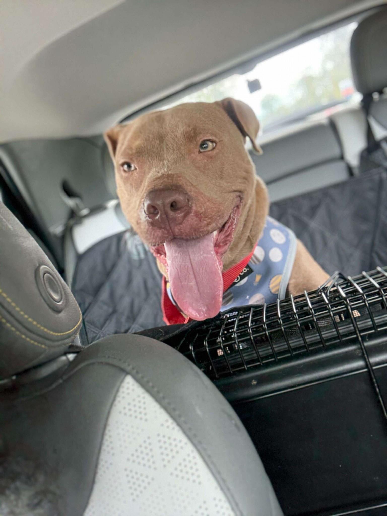 BMO (20251208-02) — thumbnail 4