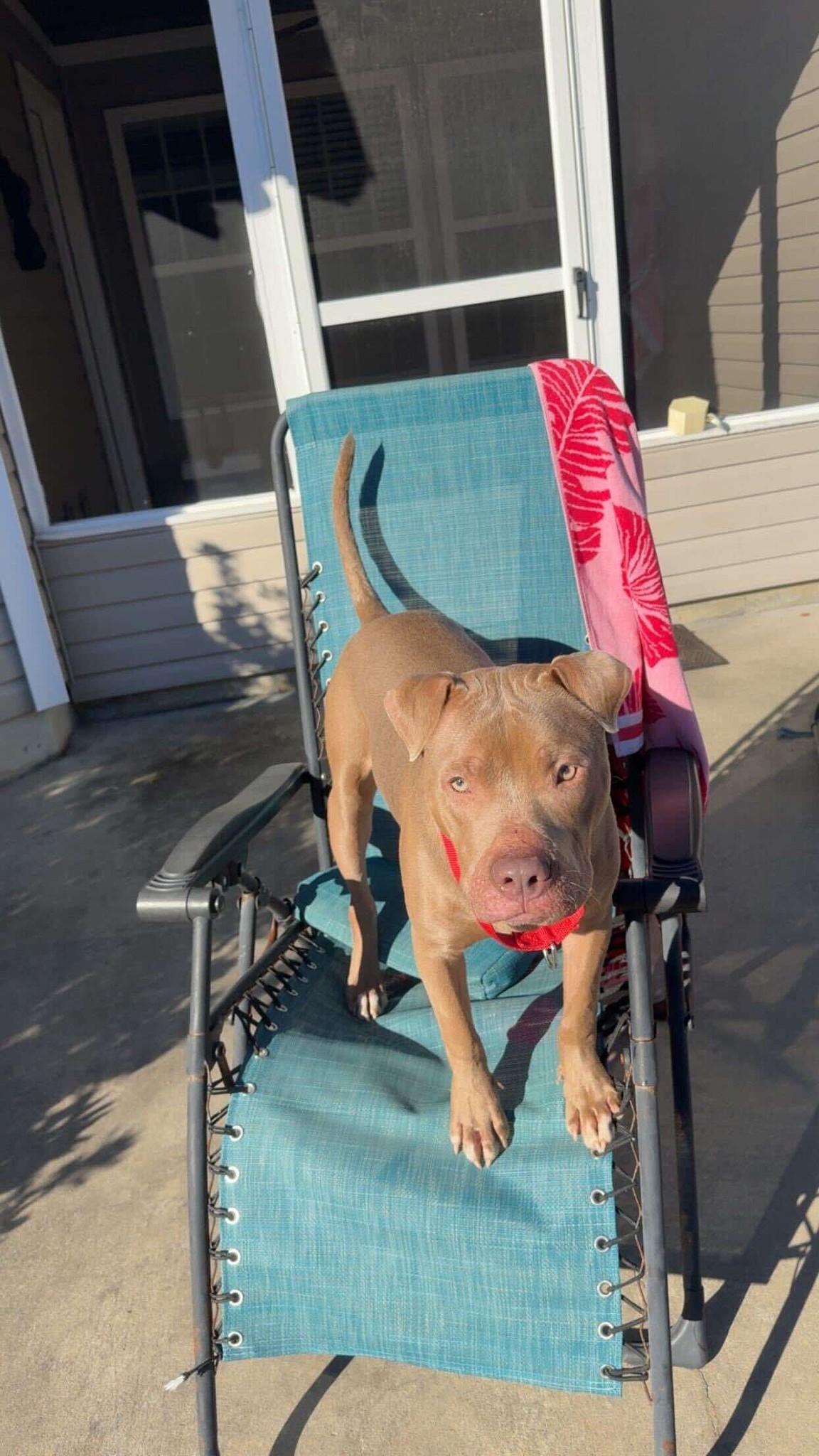 BMO (20251208-02) — thumbnail 5